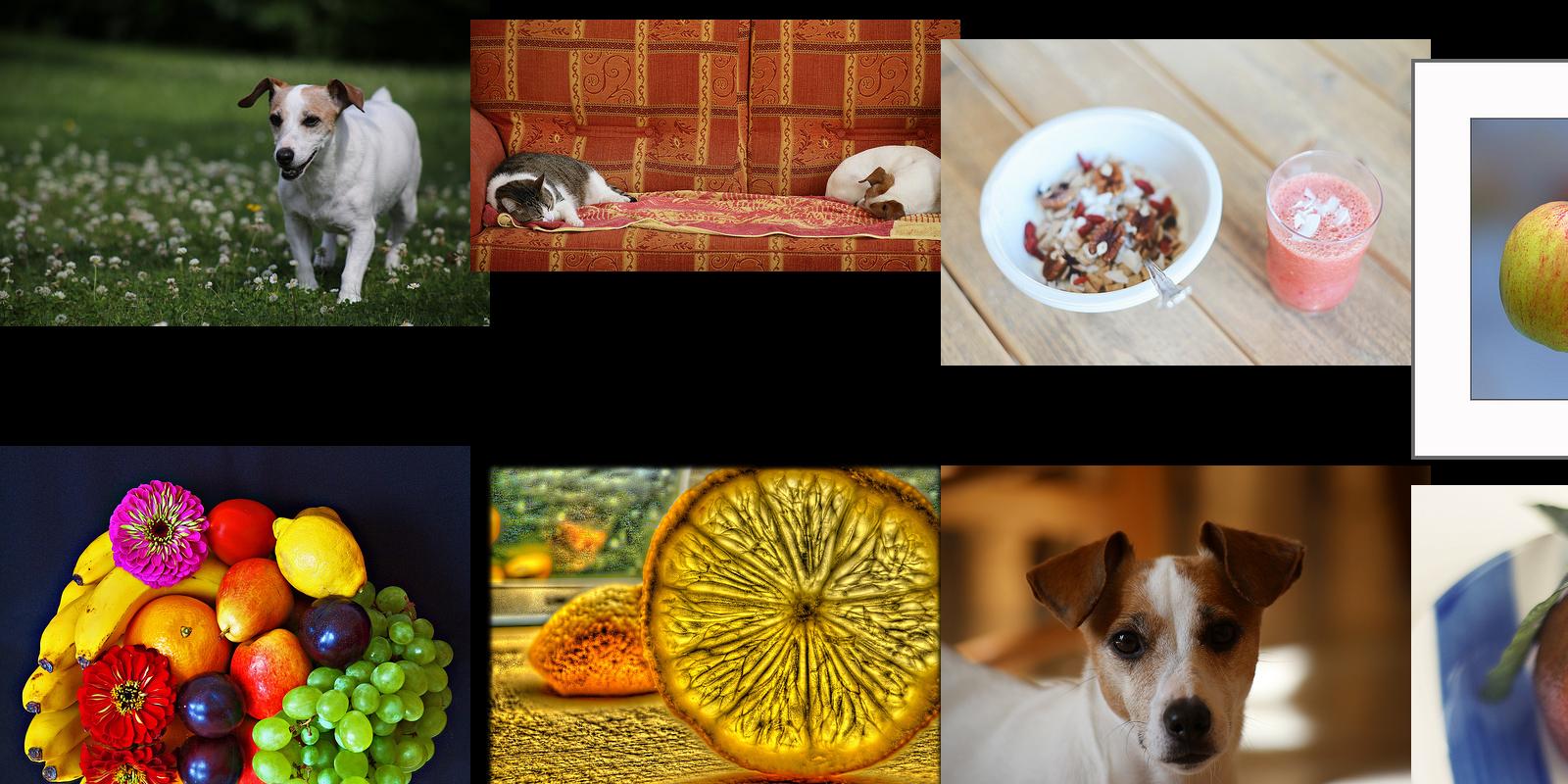 vitamine