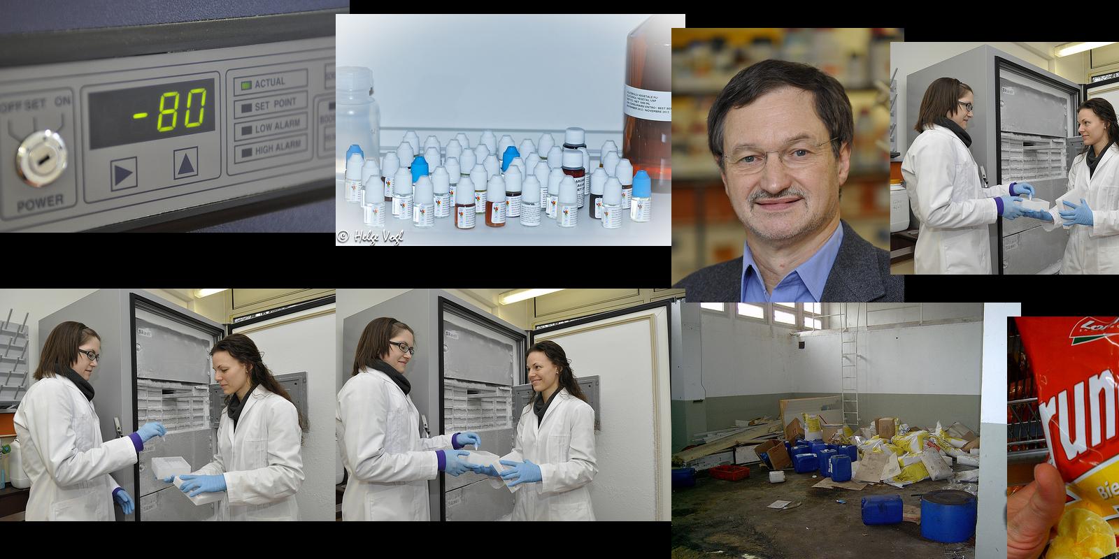 lebensmittelchemie