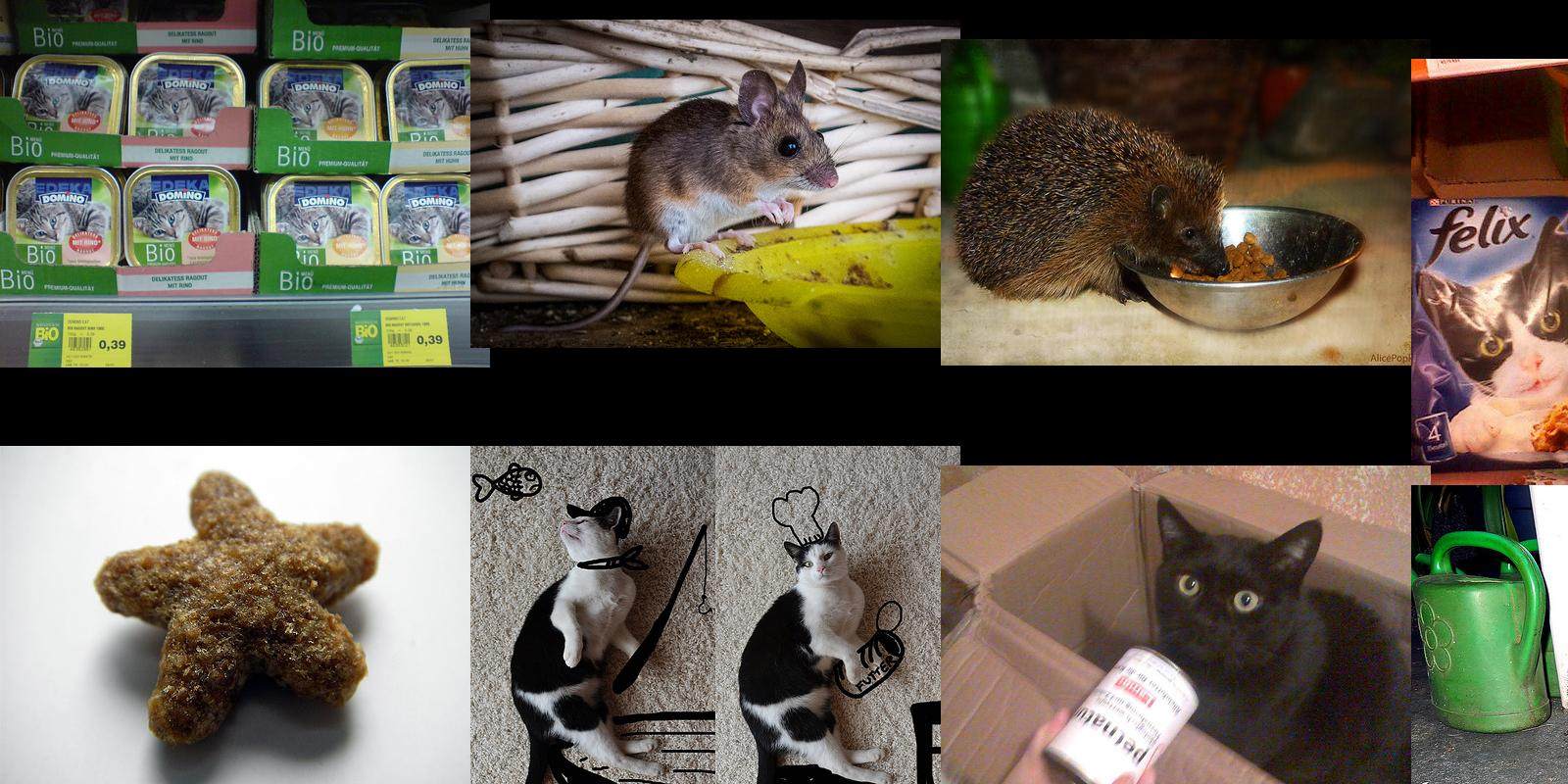 katzenfutter