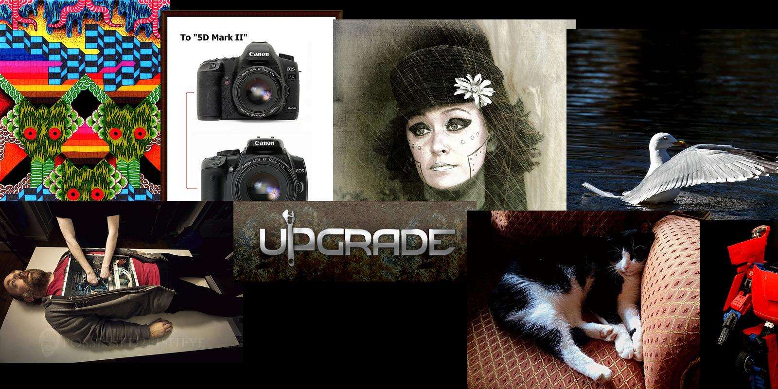 upgrade