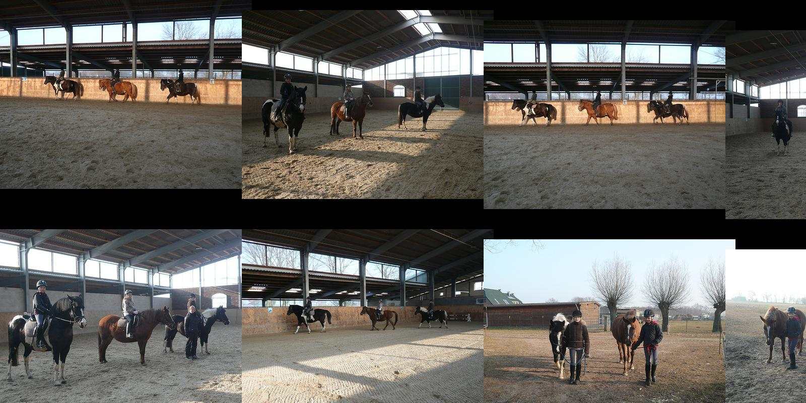reitunterricht