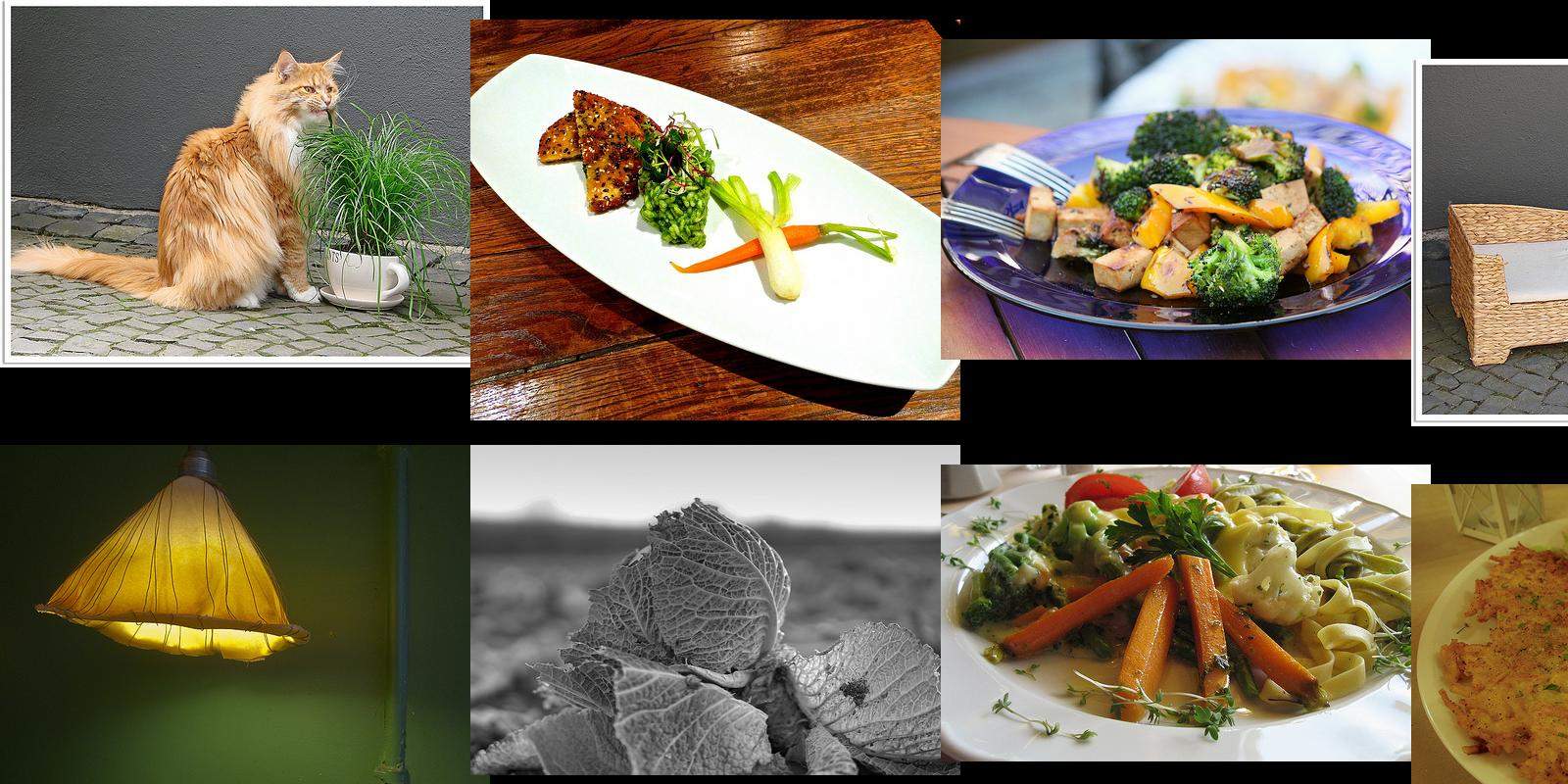 vegetarisch