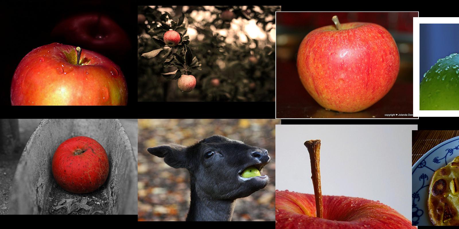 apfel