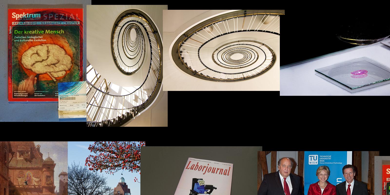 wissenschaft