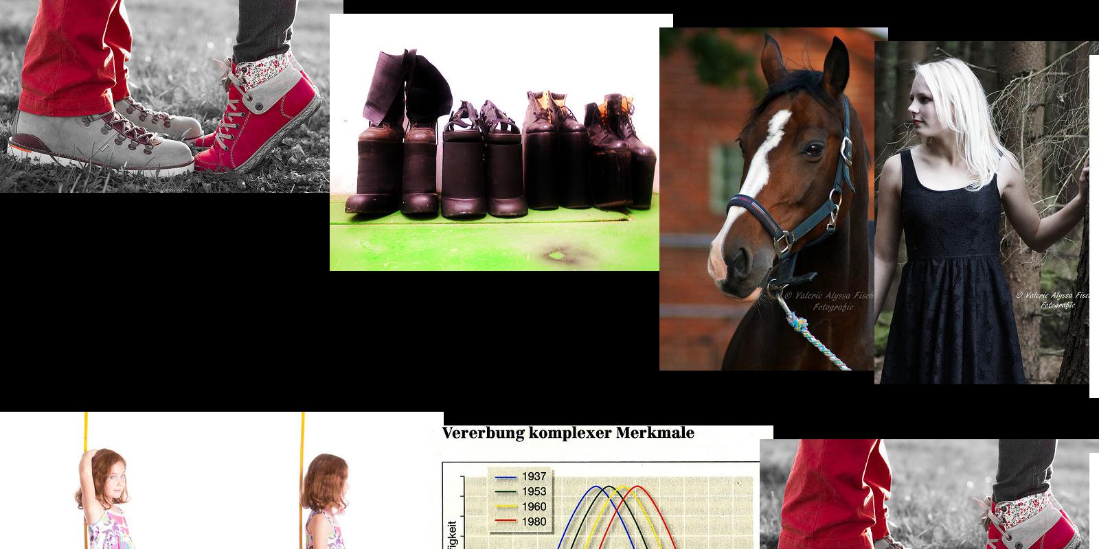 körpergröße