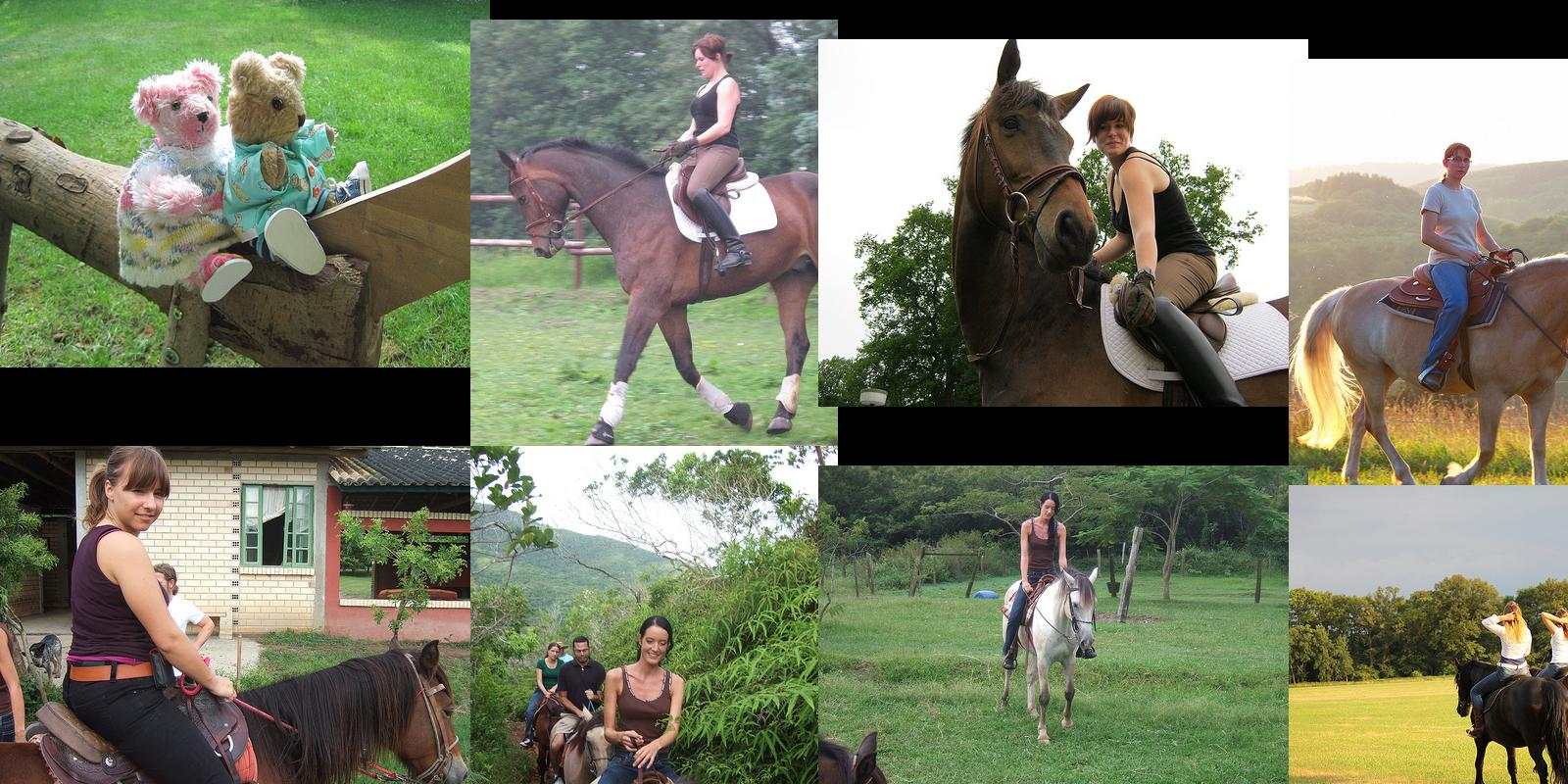 reiten