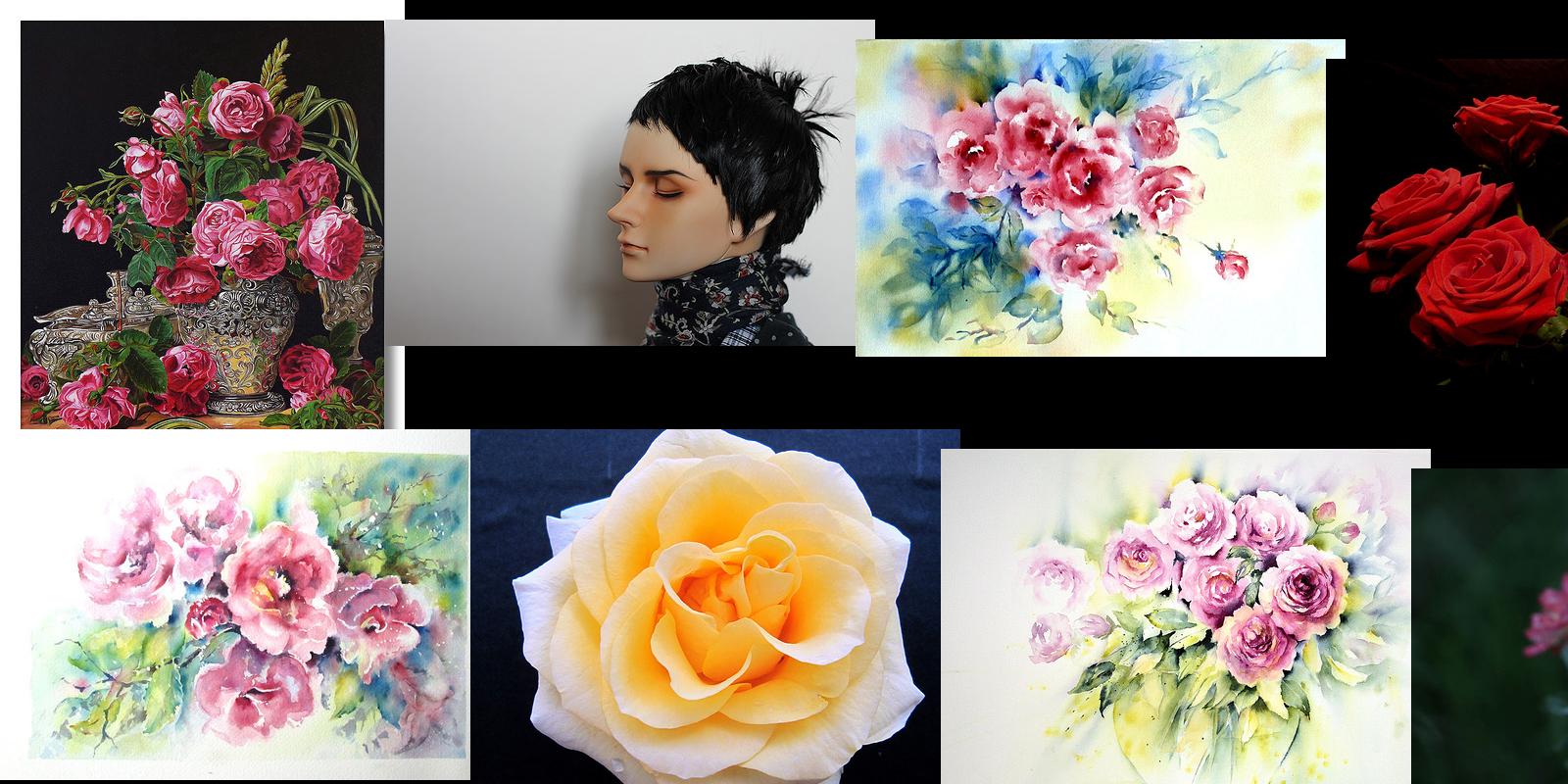 rosen