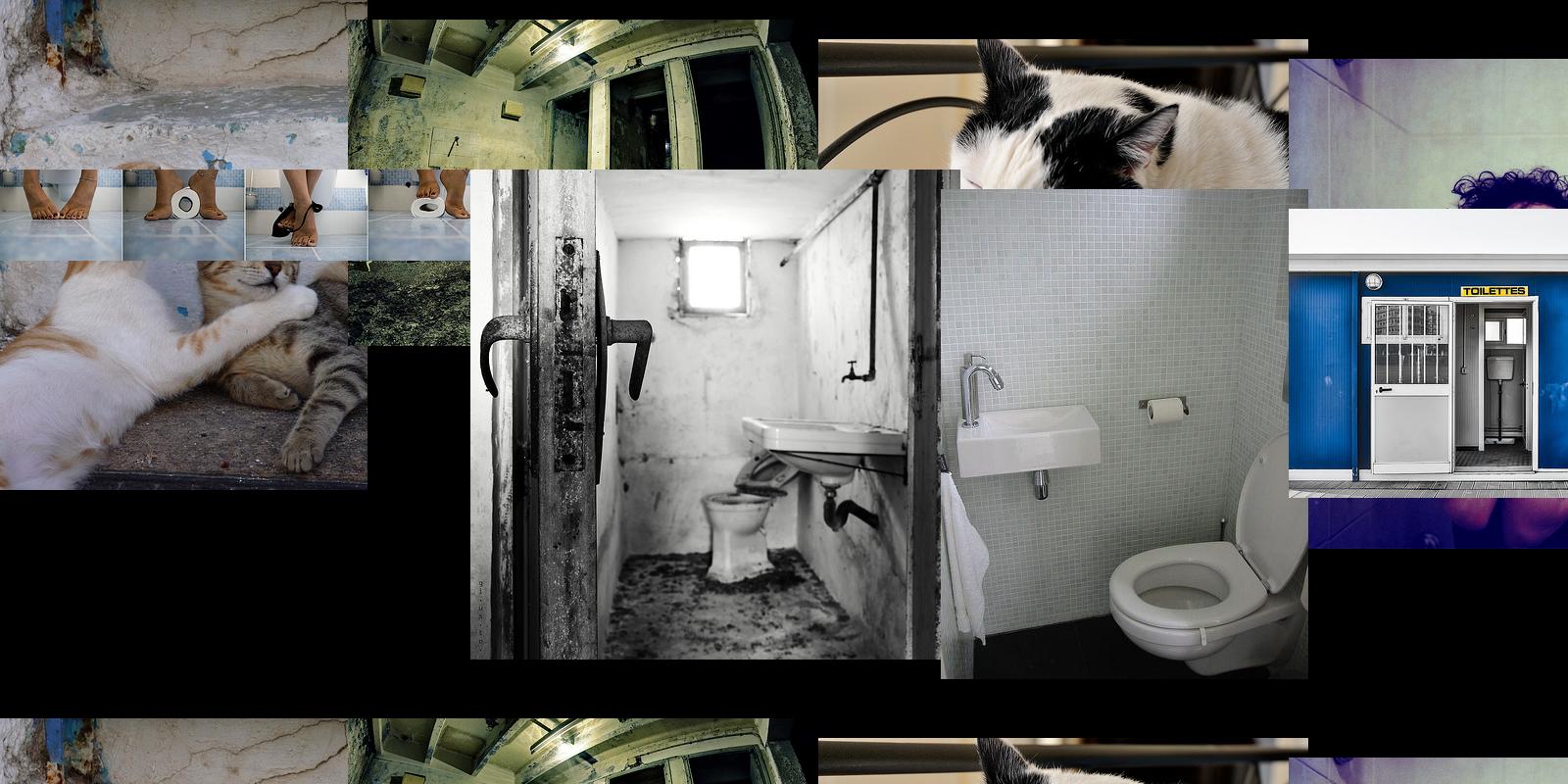 toilette